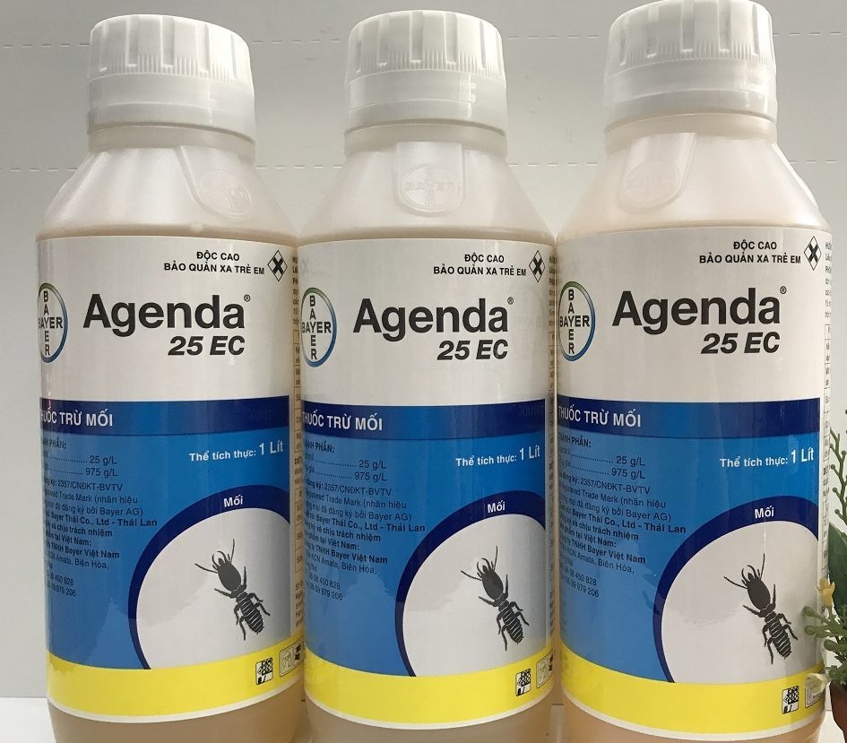 agenda25ec-pg-7328.jpg