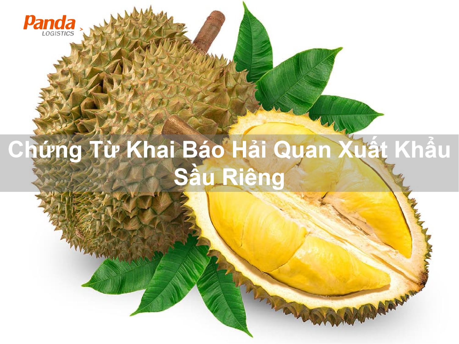 chung-tu-khai-bao-hai-quan-xuat-khau-sau-rieng-7121[1].png