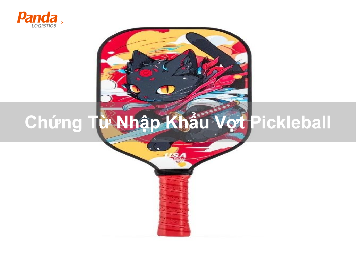 chung-tu-nhap-khau-vot-pickleball-9458[1].png