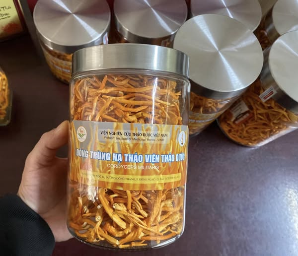 dong trung ha thao vien nghien cuu thao duoc viet nam (2).jpg