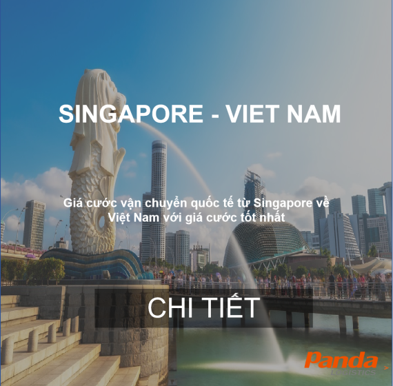 Giá Cước Vận Chuyển Hàng Hóa Từ Singapore Về Việt Nam.png