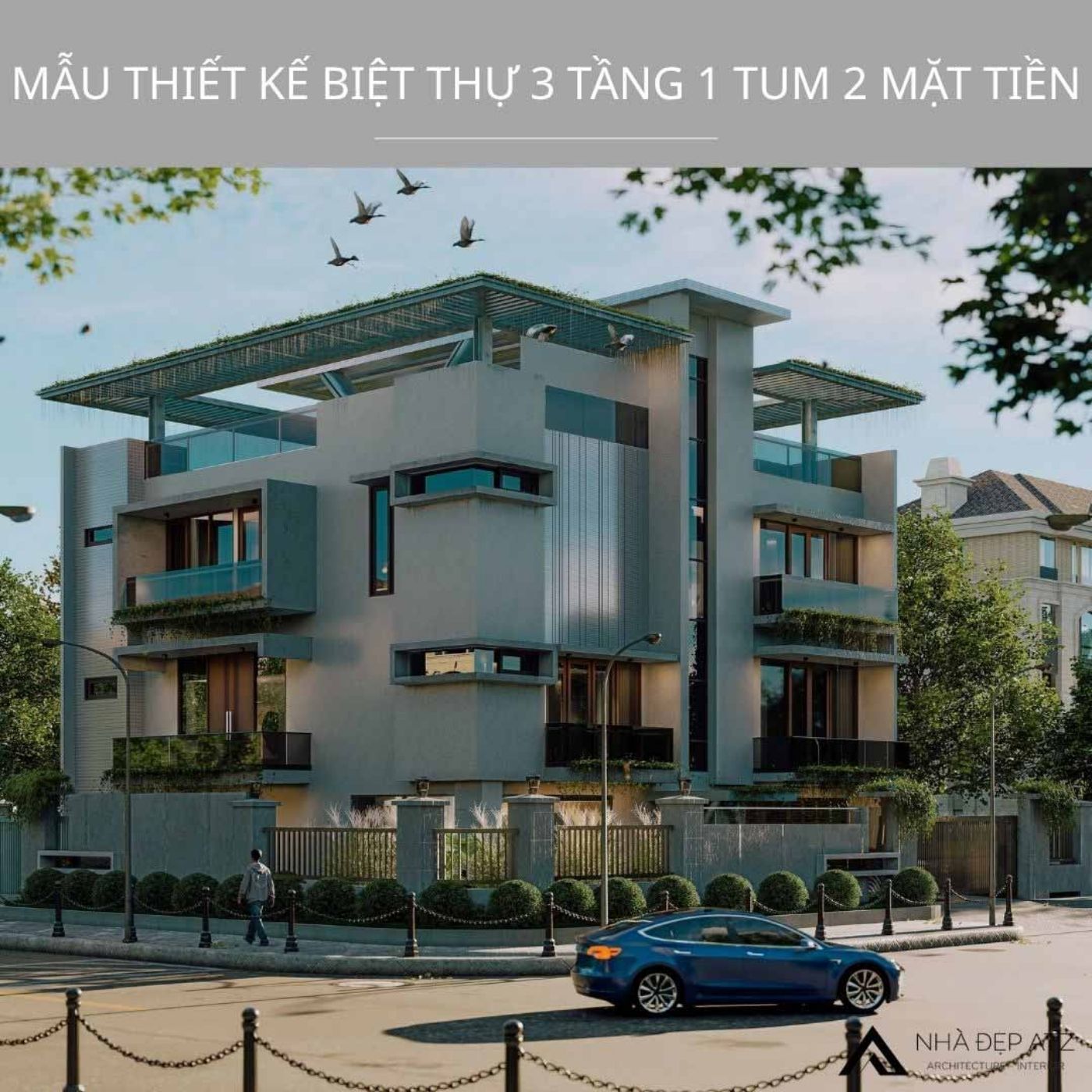 mau biet thu 3 tang 1 tum dep.jpg