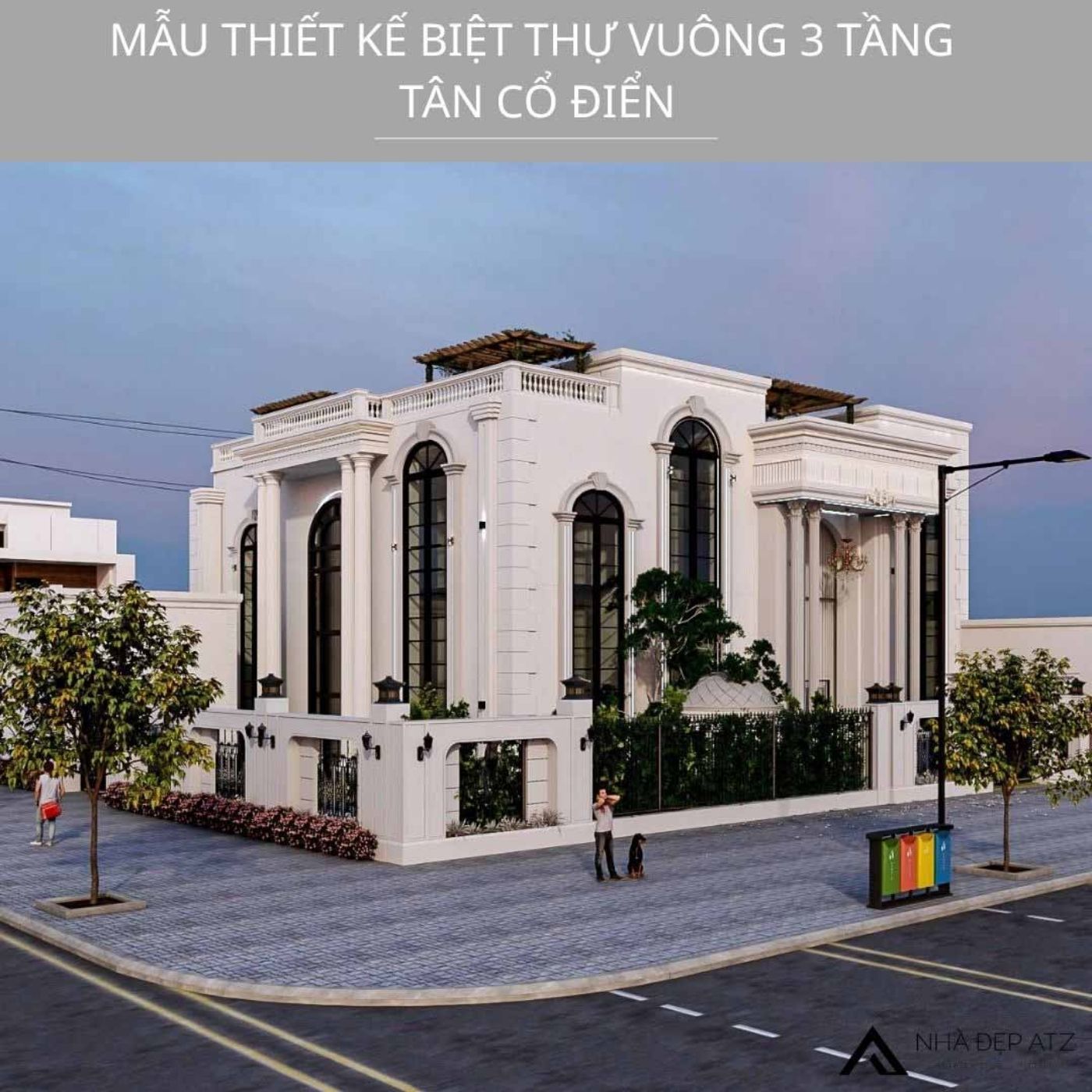 mau biet thu tan co dien 2 mat tien dep.jpg