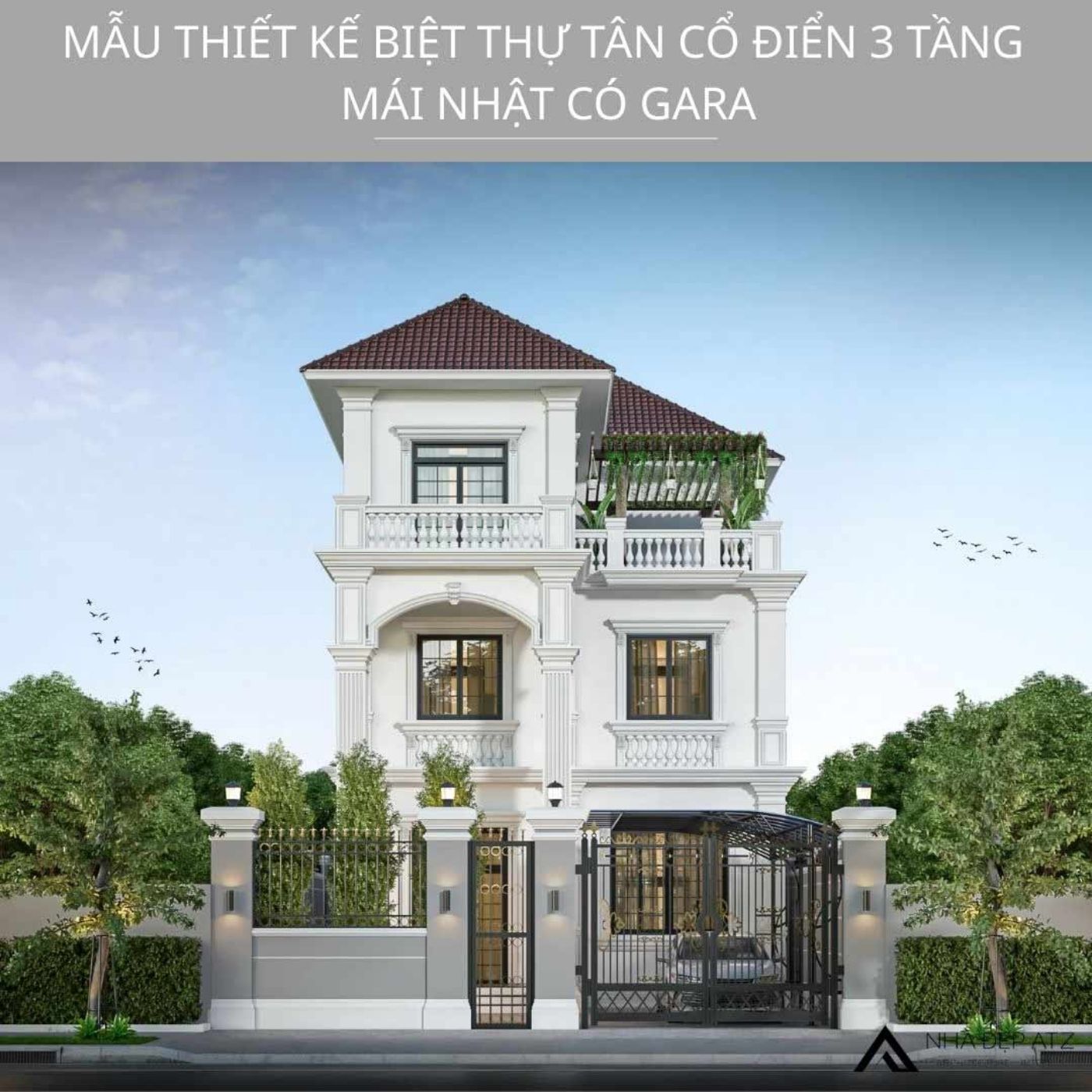 mau biet thu tan co dien.jpg