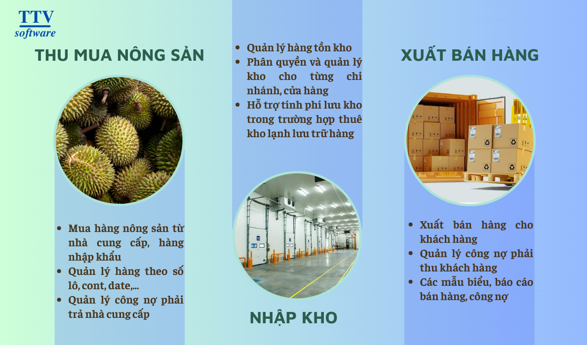 Nông sản - ảnh mkt 1.png