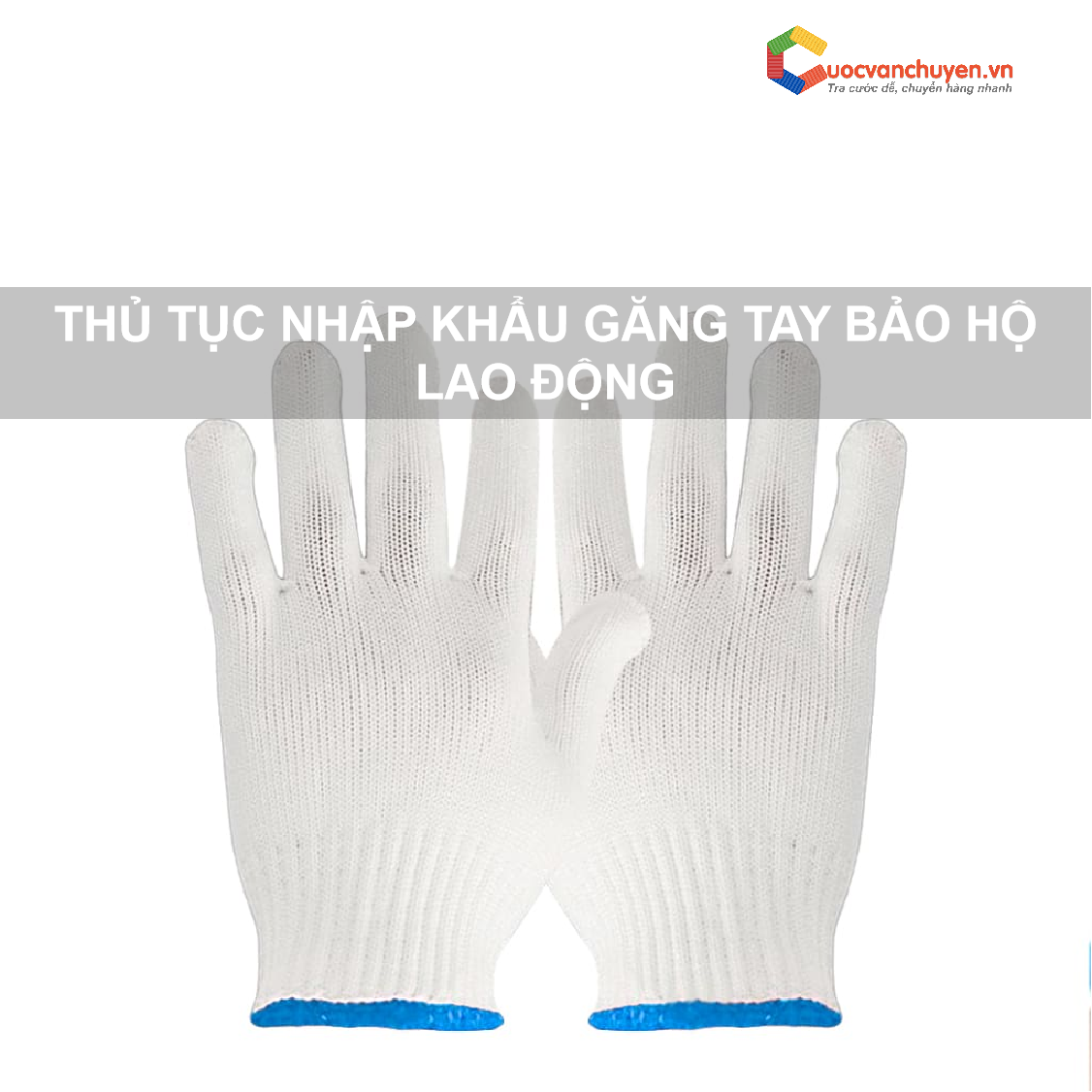 THỦ%20TỤC%20NHẬP%20KHẨU%20GĂNG%20TAY%20BẢO%20HỘ%20LAO%20ĐỘNG[1].png