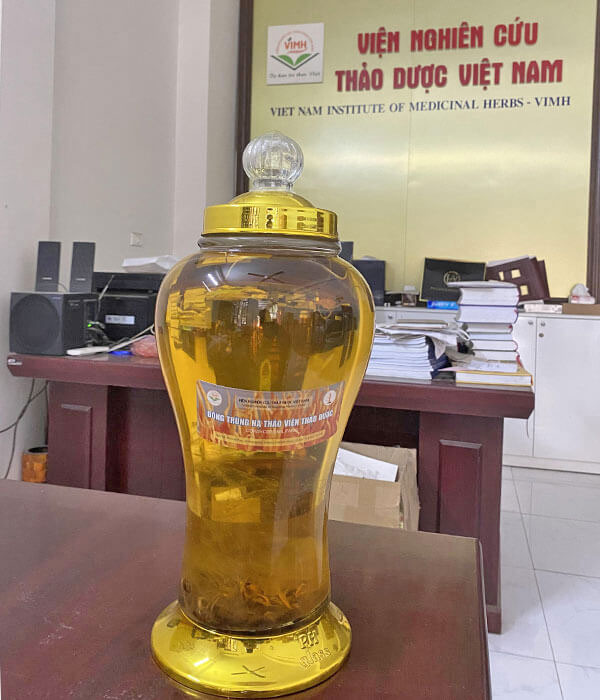 viện-nghiên-cứu-thảo-dược-việt-nam.jpg