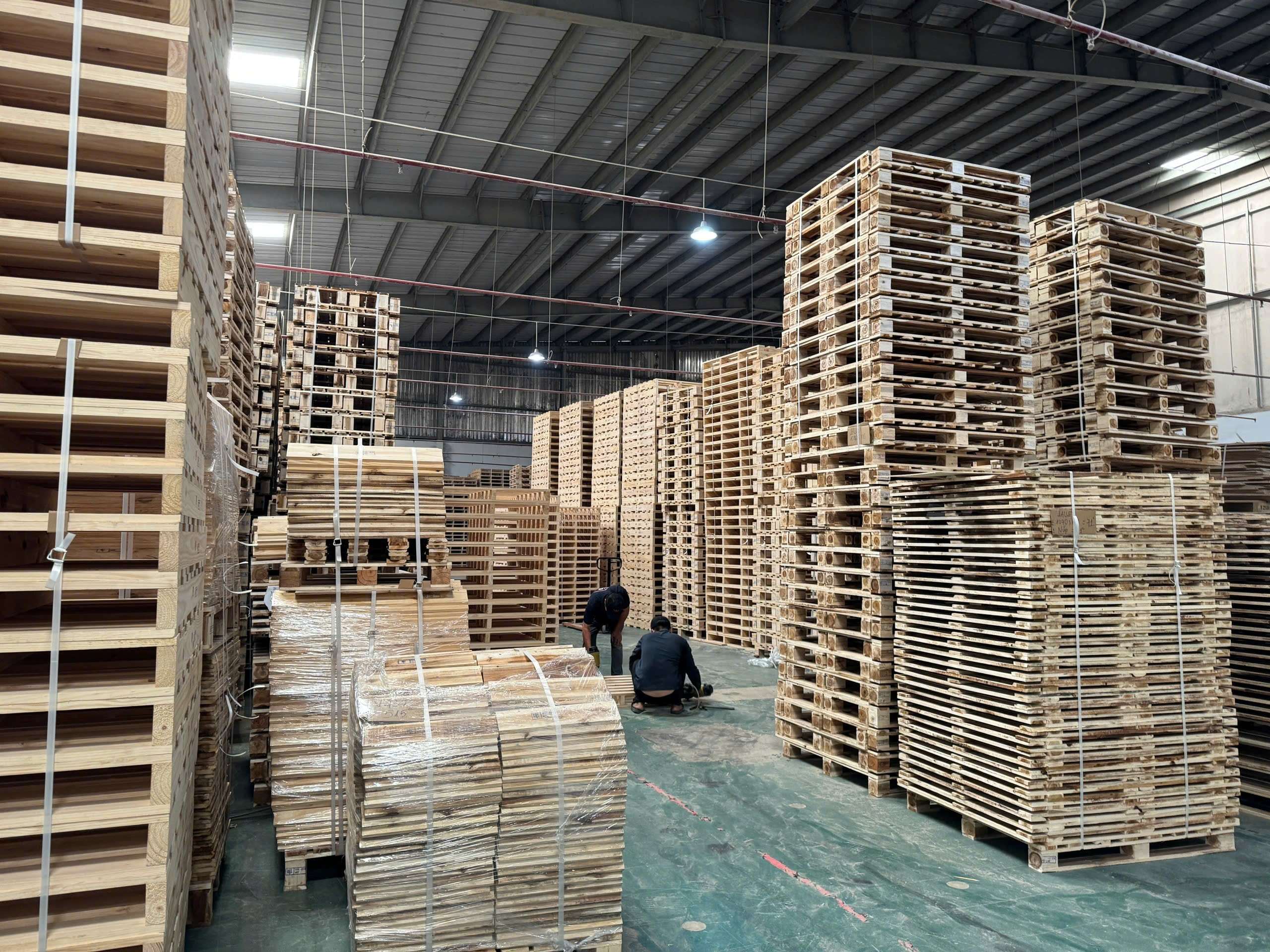 z7335130021596_f0b7d23b0b1f59296467ee3821bcee0d (1).jpg