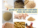 Thức ăn chăn nuôi.jpg