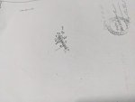 z4733768835638_51ab00495990227c37b7e1d8808a4d11.jpg