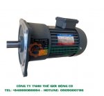 motor-giam-toc-ntc-mat-bich.jpg