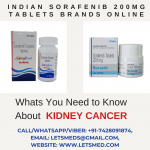 Indian Sorafenib 200mg Tablets Brands Online.png