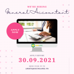 Pink Modern Accountant Job Recruitment Instagram Post.png