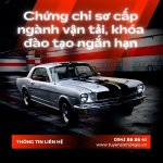 chung chi so cap nganh van tai 4.jpg