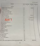 IMG_4227.jpeg
