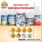 son-ngoai-that-son-nippon-chinh.jpg