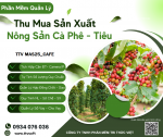 0.2025_08_19_Ảnh đăng FB, Zl_CF,ảnh 1.png