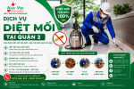 Dịch Vụ Diệt Mối Tại Quận 2.png