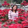 Ha Tran 1