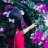 Trangnhu.nt