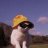 rachelthi567