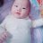 Hoa hong den